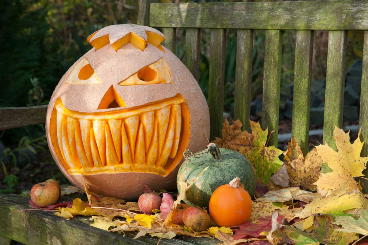 Halloween trick-or-treat in Bel Air